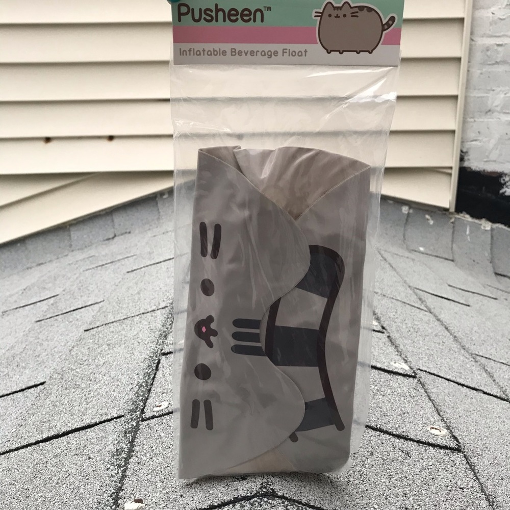 Pusheen Inflatable Beverage Floaty